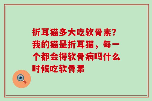 折耳猫多大吃软骨素?我的猫是折耳猫,每一个都会得软骨病吗什么时候吃软骨素-第1张图片-氨糖科普网 折耳猫多大吃软骨素?我的猫是折耳猫,每一个都会得软骨病吗什么时候吃软骨素-第1张图片-氨糖科普网