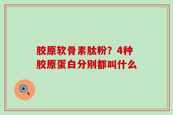 胶原软骨素肽粉？4种胶原蛋白分别都叫什么-第1张图片-氨糖科普网