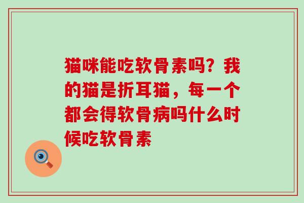 猫咪能吃软骨素吗？我的猫是折耳猫，每一个都会得软骨病吗什么时候吃软骨素-第1张图片-氨糖科普网