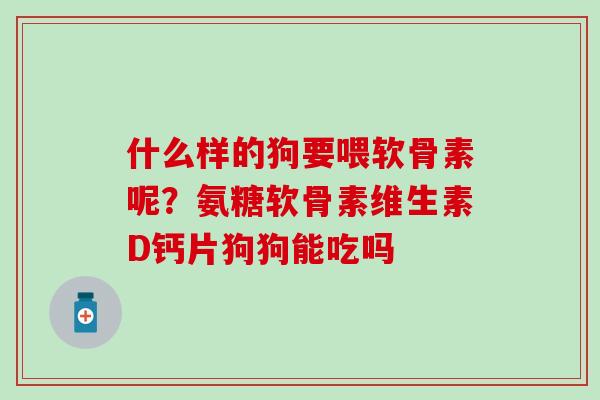 什么样的狗要喂软骨素呢?氨糖软骨素维生素D钙片狗狗能吃吗-第1张图片-氨糖科普网 什么样的狗要喂软骨素呢?氨糖软骨素维生素D钙片狗狗能吃吗-第1张图片-氨糖科普网