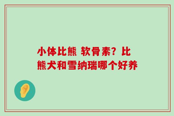 小体比熊 软骨素?比熊犬和雪纳瑞哪个好养-第1张图片-氨糖科普网 小体比熊 软骨素?比熊犬和雪纳瑞哪个好养-第1张图片-氨糖科普网