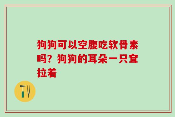 狗狗可以空腹吃软骨素吗?狗狗的耳朵一只耷拉着-第1张图片-氨糖科普网 狗狗可以空腹吃软骨素吗?狗狗的耳朵一只耷拉着-第1张图片-氨糖科普网