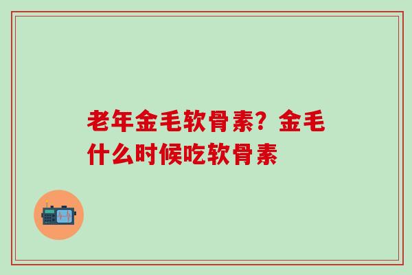 老年金毛软骨素？金毛什么时候吃软骨素-第1张图片-氨糖科普网