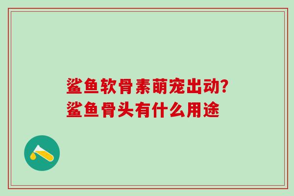 鲨鱼软骨素萌宠出动?鲨鱼骨头有什么用途-第1张图片-氨糖科普网 鲨鱼软骨素萌宠出动?鲨鱼骨头有什么用途-第1张图片-氨糖科普网