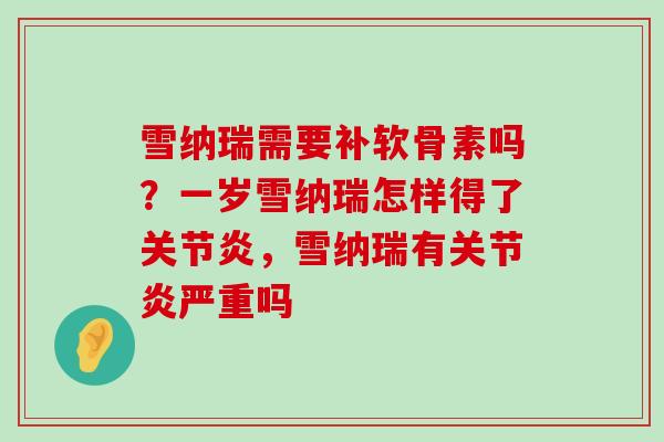 雪纳瑞需要补软骨素吗？一岁雪纳瑞怎样得了关节炎，雪纳瑞有关节炎严重吗-第1张图片-氨糖科普网