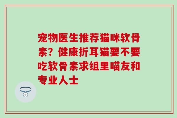 宠物医生推荐猫咪软骨素?健康折耳猫要不要吃软骨素求组里喵友和专业人士-第1张图片-氨糖科普网 宠物医生推荐猫咪软骨素?健康折耳猫要不要吃软骨素求组里喵友和专业人士-第1张图片-氨糖科普网