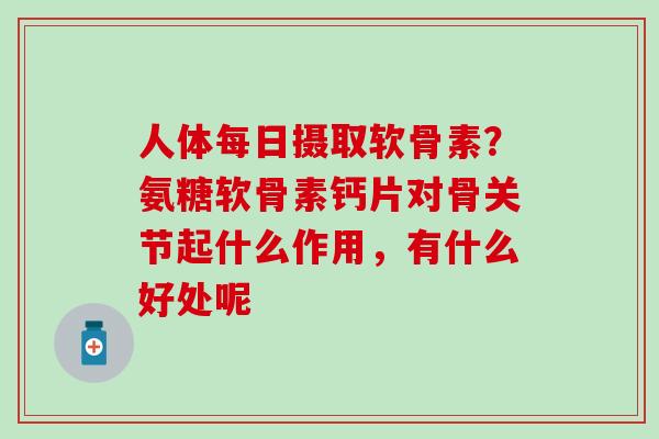 人体每日摄取软骨素?氨糖软骨素钙片对骨关节起什么作用,有什么好处呢-第1张图片-氨糖科普网 人体每日摄取软骨素?氨糖软骨素钙片对骨关节起什么作用,有什么好处呢-第1张图片-氨糖科普网