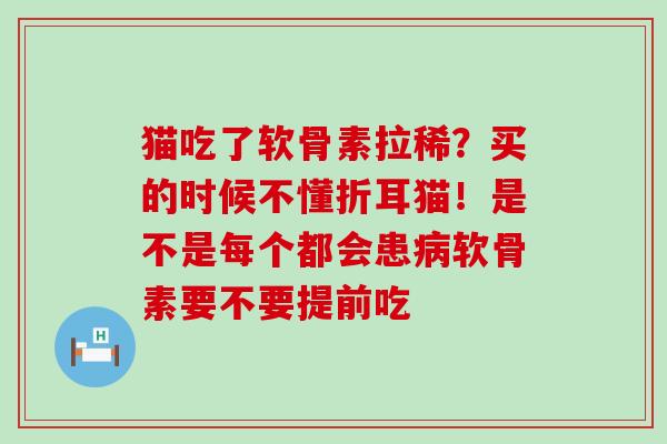 猫吃了软骨素拉稀?买的时候不懂折耳猫!是不是每个都会患病软骨素要不要提前吃-第1张图片-氨糖科普网 猫吃了软骨素拉稀?买的时候不懂折耳猫!是不是每个都会患病软骨素要不要提前吃-第1张图片-氨糖科普网