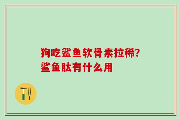 狗吃鲨鱼软骨素拉稀?鲨鱼肽有什么用-第1张图片-氨糖科普网 狗吃鲨鱼软骨素拉稀?鲨鱼肽有什么用-第1张图片-氨糖科普网