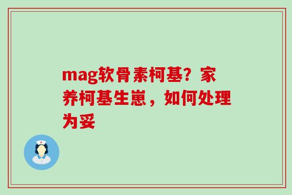 mag软骨素柯基?家养柯基生崽,如何处理为妥-第1张图片-氨糖科普网 mag软骨素柯基?家养柯基生崽,如何处理为妥-第1张图片-氨糖科普网
