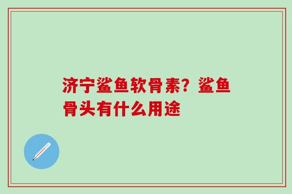 济宁鲨鱼软骨素?鲨鱼骨头有什么用途-第1张图片-氨糖科普网 济宁鲨鱼软骨素?鲨鱼骨头有什么用途-第1张图片-氨糖科普网