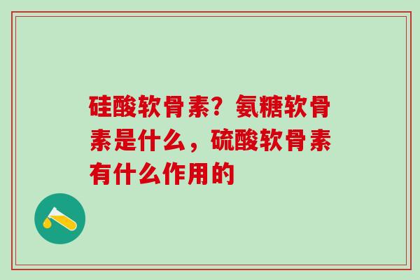 硅酸软骨素?氨糖软骨素是什么,硫酸软骨素有什么作用的-第1张图片-氨糖科普网 硅酸软骨素?氨糖软骨素是什么,硫酸软骨素有什么作用的-第1张图片-氨糖科普网