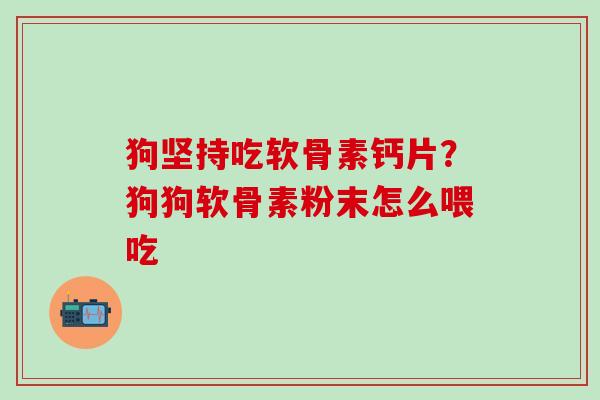 狗坚持吃软骨素钙片?狗狗软骨素粉末怎么喂吃-第1张图片-氨糖科普网 狗坚持吃软骨素钙片?狗狗软骨素粉末怎么喂吃-第1张图片-氨糖科普网
