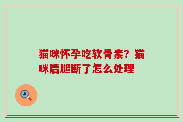 猫咪怀孕吃软骨素?猫咪后腿断了怎么处理-第1张图片-氨糖科普网 猫咪怀孕吃软骨素?猫咪后腿断了怎么处理-第1张图片-氨糖科普网
