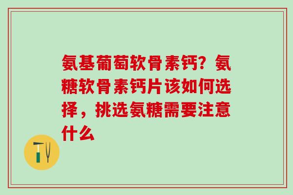 氨基葡萄软骨素钙?氨糖软骨素钙片该如何选择,挑选氨糖需要注意什么-第1张图片-氨糖科普网 氨基葡萄软骨素钙?氨糖软骨素钙片该如何选择,挑选氨糖需要注意什么-第1张图片-氨糖科普网