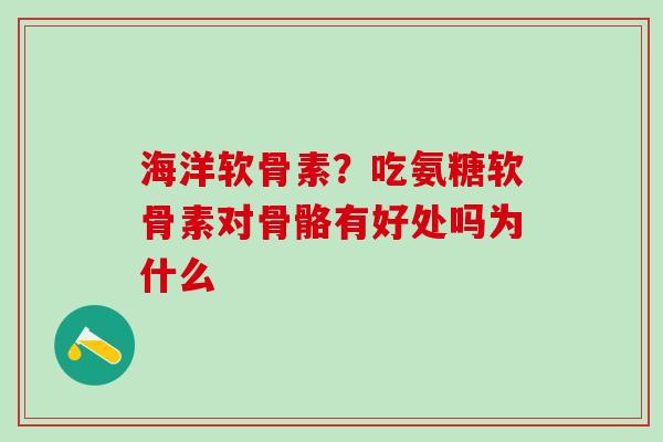 海洋软骨素？吃氨糖软骨素对骨骼有好处吗为什么-第1张图片-氨糖科普网