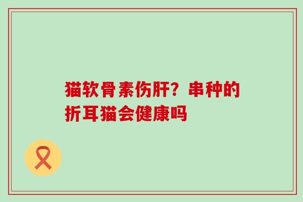 猫软骨素伤肝？串种的折耳猫会健康吗-第1张图片-氨糖科普网