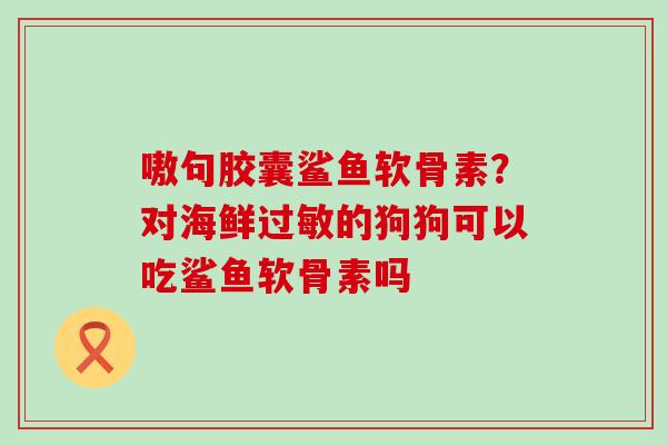 嗷句胶囊鲨鱼软骨素？对海鲜过敏的狗狗可以吃鲨鱼软骨素吗-第1张图片-氨糖科普网