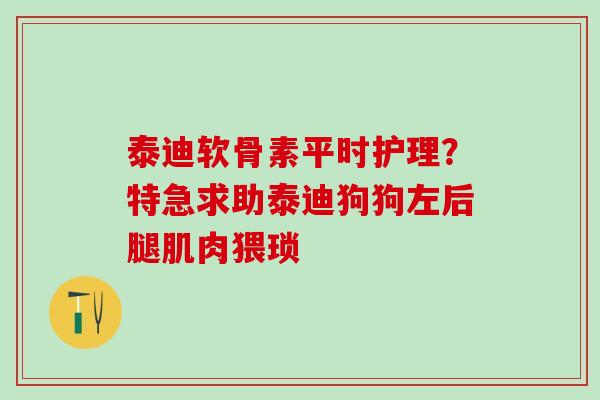 泰迪软骨素平时护理？特急求助泰迪狗狗左后腿肌肉猥琐-第1张图片-氨糖科普网