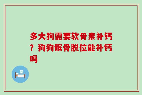 多大狗需要软骨素补钙?狗狗髌骨脱位能补钙吗-第1张图片-氨糖科普网 多大狗需要软骨素补钙?狗狗髌骨脱位能补钙吗-第1张图片-氨糖科普网