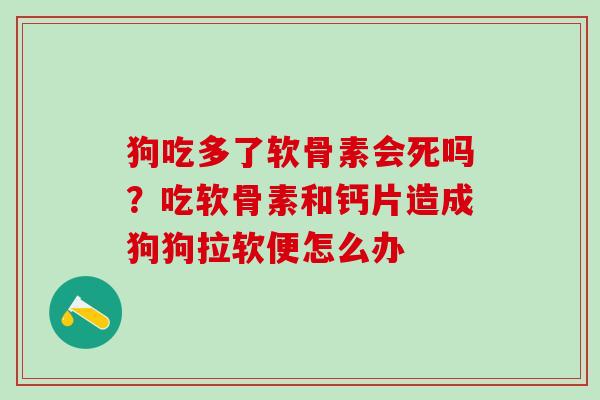 狗吃多了软骨素会死吗？吃软骨素和钙片造成狗狗拉软便怎么办-第1张图片-氨糖科普网