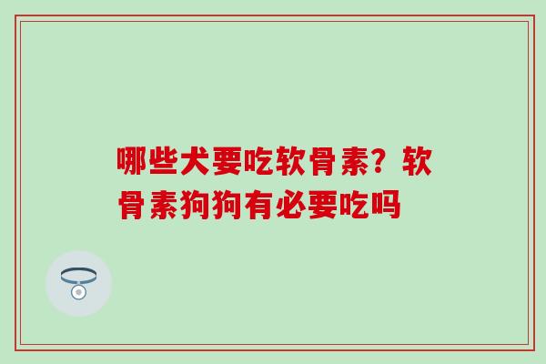 哪些犬要吃软骨素?软骨素狗狗有必要吃吗-第1张图片-氨糖科普网 哪些犬要吃软骨素?软骨素狗狗有必要吃吗-第1张图片-氨糖科普网