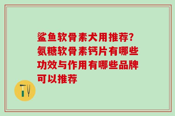 鲨鱼软骨素犬用推荐?氨糖软骨素钙片有哪些功效与作用有哪些品牌可以推荐-第1张图片-氨糖科普网 鲨鱼软骨素犬用推荐?氨糖软骨素钙片有哪些功效与作用有哪些品牌可以推荐-第1张图片-氨糖科普网