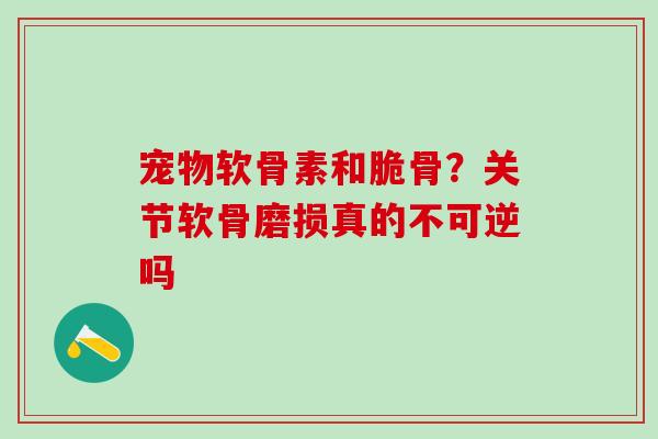 宠物软骨素和脆骨?关节软骨磨损真的不可逆吗-第1张图片-氨糖科普网 宠物软骨素和脆骨?关节软骨磨损真的不可逆吗-第1张图片-氨糖科普网