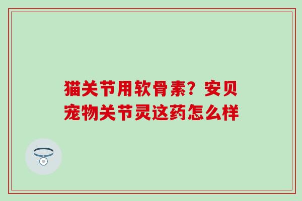 猫关节用软骨素？安贝宠物关节灵这药怎么样-第1张图片-氨糖科普网