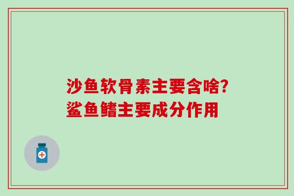 沙鱼软骨素主要含啥？鲨鱼鳍主要成分作用-第1张图片-氨糖科普网