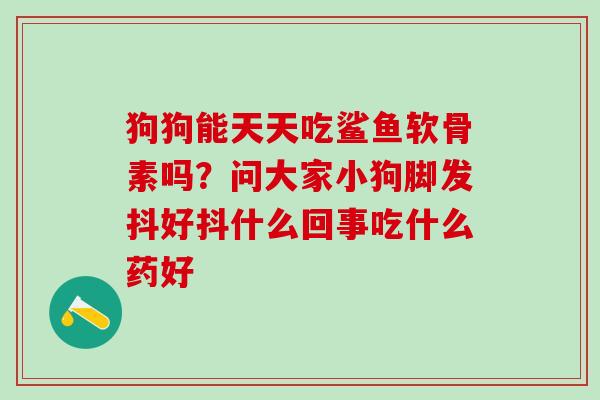 狗狗能天天吃鲨鱼软骨素吗?问大家小狗脚发抖好抖什么回事吃什么药好-第1张图片-氨糖科普网 狗狗能天天吃鲨鱼软骨素吗?问大家小狗脚发抖好抖什么回事吃什么药好-第1张图片-氨糖科普网
