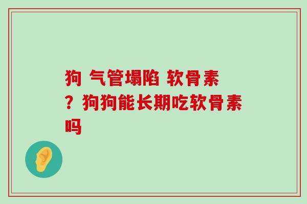 狗 气管塌陷 软骨素？狗狗能长期吃软骨素吗-第1张图片-氨糖科普网