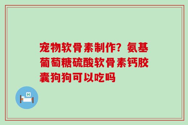 宠物软骨素制作?氨基葡萄糖硫酸软骨素钙胶囊狗狗可以吃吗-第1张图片-氨糖科普网 宠物软骨素制作?氨基葡萄糖硫酸软骨素钙胶囊狗狗可以吃吗-第1张图片-氨糖科普网