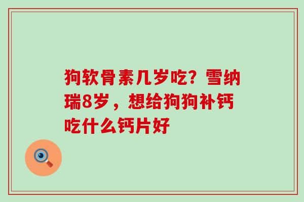 狗软骨素几岁吃?雪纳瑞8岁,想给狗狗补钙吃什么钙片好-第1张图片-氨糖科普网 狗软骨素几岁吃?雪纳瑞8岁,想给狗狗补钙吃什么钙片好-第1张图片-氨糖科普网
