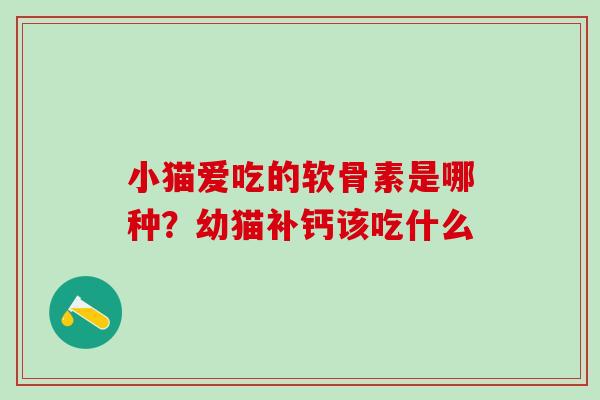 小猫爱吃的软骨素是哪种?幼猫补钙该吃什么-第1张图片-氨糖科普网 小猫爱吃的软骨素是哪种?幼猫补钙该吃什么-第1张图片-氨糖科普网