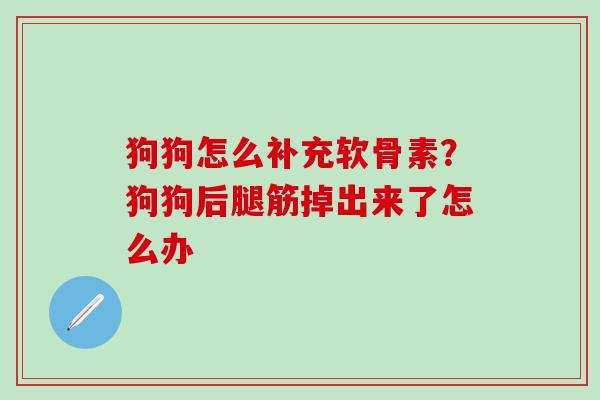狗狗怎么补充软骨素?狗狗后腿筋掉出来了怎么办-第1张图片-氨糖科普网 狗狗怎么补充软骨素?狗狗后腿筋掉出来了怎么办-第1张图片-氨糖科普网