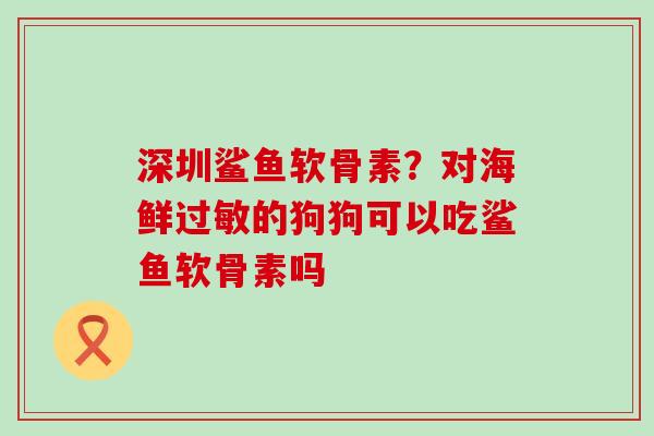 深圳鲨鱼软骨素？对海鲜过敏的狗狗可以吃鲨鱼软骨素吗-第1张图片-氨糖科普网