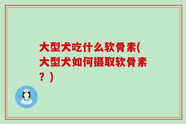 大型犬吃什么软骨素(大型犬如何摄取软骨素?)-第1张图片-氨糖科普网 大型犬吃什么软骨素(大型犬如何摄取软骨素?)-第1张图片-氨糖科普网