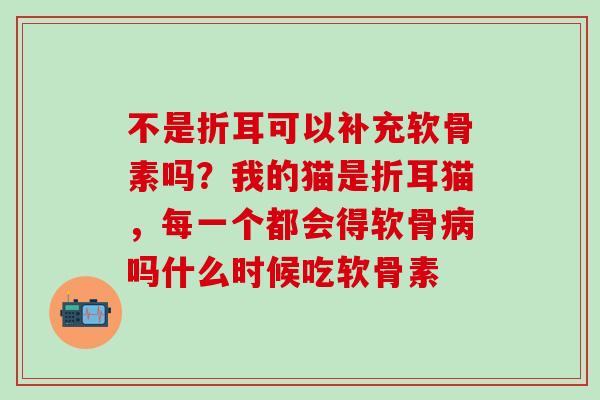 不是折耳可以补充软骨素吗?我的猫是折耳猫,每一个都会得软骨病吗什么时候吃软骨素-第1张图片-氨糖科普网 不是折耳可以补充软骨素吗?我的猫是折耳猫,每一个都会得软骨病吗什么时候吃软骨素-第1张图片-氨糖科普网