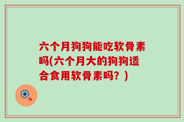 六个月狗狗能吃软骨素吗(六个月大的狗狗适合食用软骨素吗?)-第1张图片-氨糖科普网 六个月狗狗能吃软骨素吗(六个月大的狗狗适合食用软骨素吗?)-第1张图片-氨糖科普网