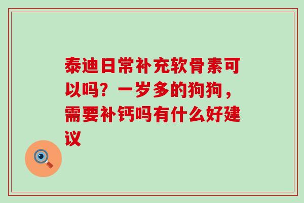泰迪日常补充软骨素可以吗？一岁多的狗狗，需要补钙吗有什么好建议-第1张图片-氨糖科普网