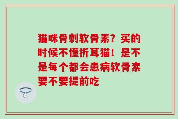 猫咪骨刺软骨素?买的时候不懂折耳猫!是不是每个都会患病软骨素要不要提前吃-第1张图片-氨糖科普网 猫咪骨刺软骨素?买的时候不懂折耳猫!是不是每个都会患病软骨素要不要提前吃-第1张图片-氨糖科普网