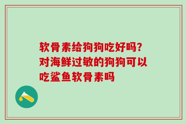 软骨素给狗狗吃好吗？对海鲜过敏的狗狗可以吃鲨鱼软骨素吗-第1张图片-氨糖科普网