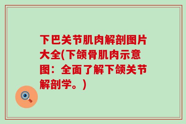 下巴关节肌肉解剖图片大全(下颌骨肌肉示意图:全面了解下颌关节解剖学。)-第1张图片-氨糖科普网 下巴关节肌肉解剖图片大全(下颌骨肌肉示意图:全面了解下颌关节解剖学。)-第1张图片-氨糖科普网