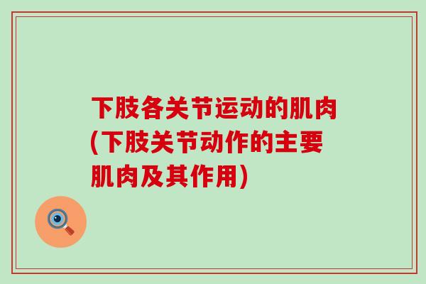 下肢各关节运动的肌肉(下肢关节动作的主要肌肉及其作用)-第1张图片-氨糖科普网