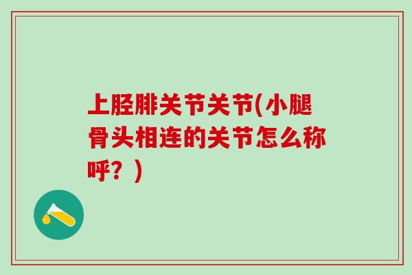 上胫腓关节关节(小腿骨头相连的关节怎么称呼?)-第1张图片-氨糖科普网 上胫腓关节关节(小腿骨头相连的关节怎么称呼?)-第1张图片-氨糖科普网