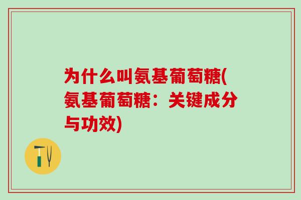 为什么叫氨基葡萄糖(氨基葡萄糖：关键成分与功效)-第1张图片-氨糖科普网