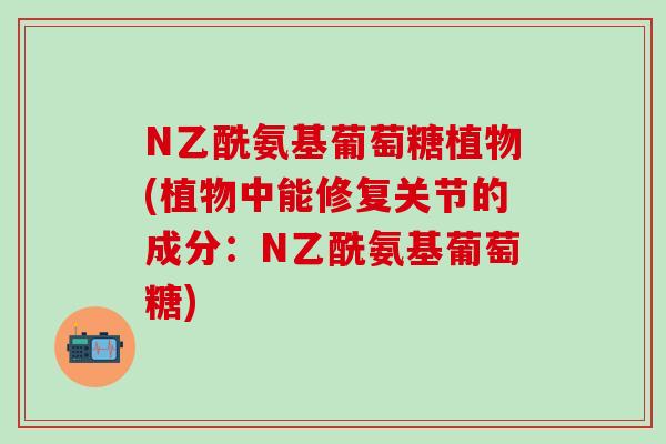 N乙酰氨基葡萄糖植物(植物中能修复关节的成分：N乙酰氨基葡萄糖)-第1张图片-氨糖科普网