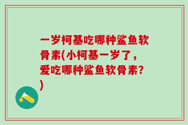 一岁柯基吃哪种鲨鱼软骨素(小柯基一岁了,爱吃哪种鲨鱼软骨素?)-第1张图片-氨糖科普网 一岁柯基吃哪种鲨鱼软骨素(小柯基一岁了,爱吃哪种鲨鱼软骨素?)-第1张图片-氨糖科普网