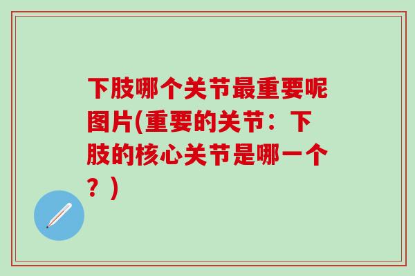 下肢哪个关节最重要呢图片(重要的关节:下肢的核心关节是哪一个?)-第1张图片-氨糖科普网 下肢哪个关节最重要呢图片(重要的关节:下肢的核心关节是哪一个?)-第1张图片-氨糖科普网